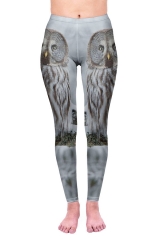常规腰打底裤雪地里的猫头鹰owl winter