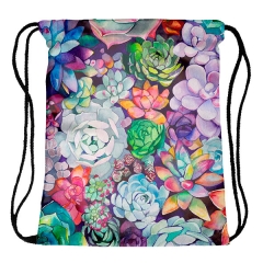 Drawstring bag colorful succulent