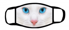 One layer mask  with edge  white cat is blue eye