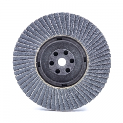 Flap Disc with M10 Nylon Backing for Japan Market