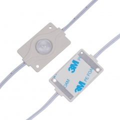 100pcs pack 1.8W DC 12V 6500K White LED modules for advertising light box 20cm(8 inches ) wire length