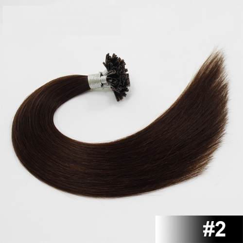 Darkest Brown #2 Dark Color Nail/U Tip Straight Hair Extensions (100strands/100grams)