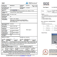 telescopic ladder certifications en131 SGS