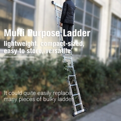 Lightweight Multi Purpose Extension Ladder