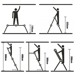 Multi Function Extension Ladder with Standing Platform