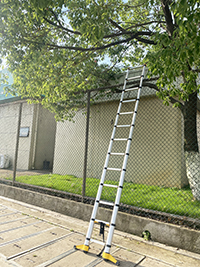 telescoping ladder in the garden