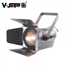 2PCS 200W Fresnel Spotlight Zoom 3000K Warm white