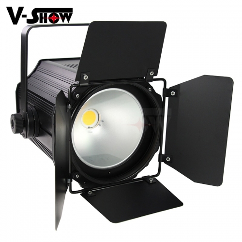 2pcs shipping to Euro 200W COB Fresnel Led Studio Stage Light For Camera Photo Video Equipment