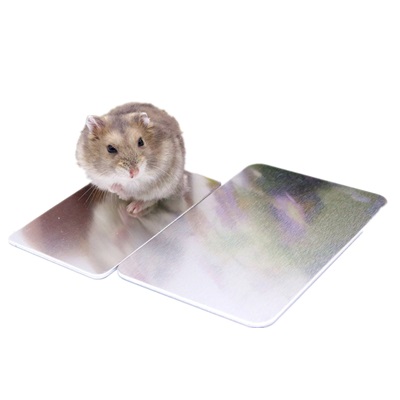 Hamster small pet summer Cooled plate aluminium alloy