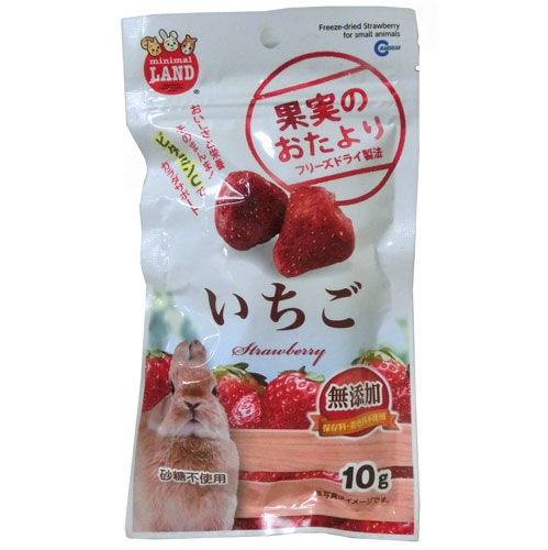 Japan Marukan freeze-dried Strawberry Snack (10g) for chinchilla, rabbit, guinea Pig, hamster, fancy rat