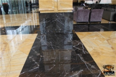 M017 Laurent Brown Polished Marble Tile