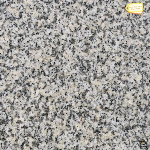 G623 Rosa Beta Granito Counter Top