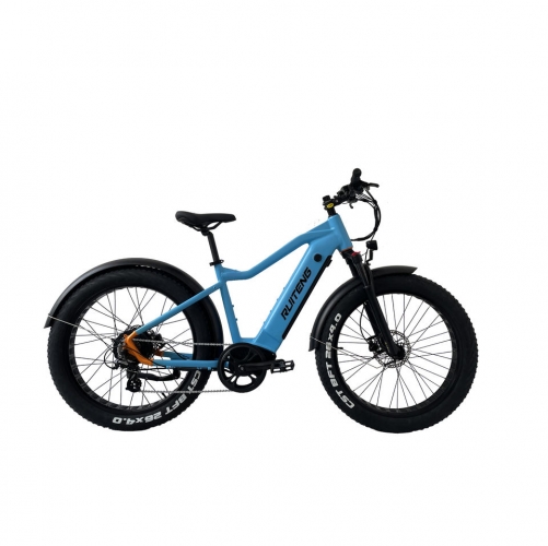 RUITENG RC-01 OEM ODM Fat Tire Electric Bike For City Commuter