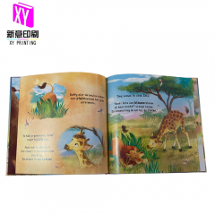 Hardcover story book