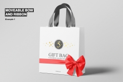 Exquisite gift bag