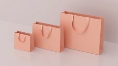 Paper gift bag