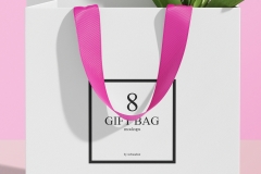 Paper gift bag