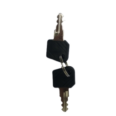 0009730419 ignition key 801 start key for Linde forklift parts