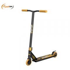 Funshion beginning pro scooters with steel bar and fork