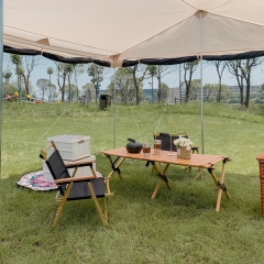 Mosquito Bar Tent