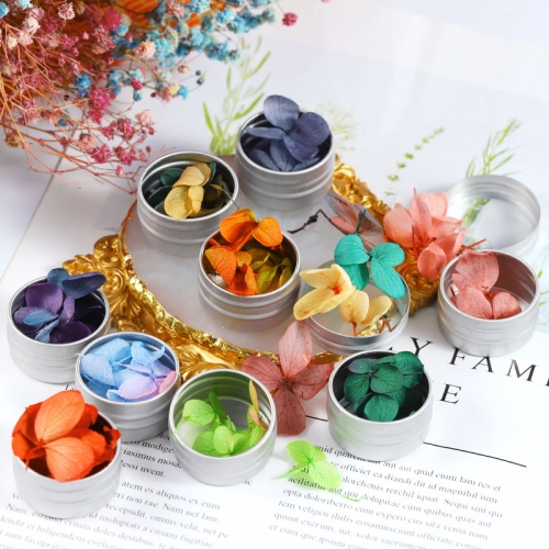 12 Colors Dried Flowers Nail Art Decorations Natural Preserved Floral Decal 3D Real Decorations DIY UV Gel Polish Manicure Tips