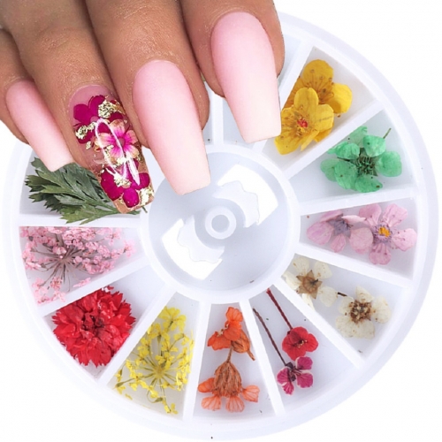 12 Types/wheel 3D Dried Flowers Nail Art Decoration DIY Beauty Petal Floral Decal Sticker Dry Flower Gel Polish Accessories