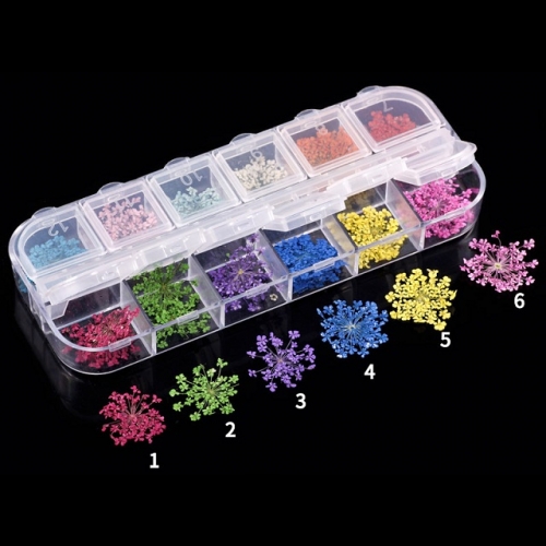 12colors/box 3D Dry Flower Nail Art Decoration
