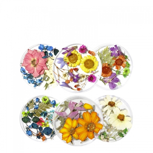 Nail Decorations Natural Floral Leaf 3D Nail Art Designs Mixed Dried Flowers Stickers