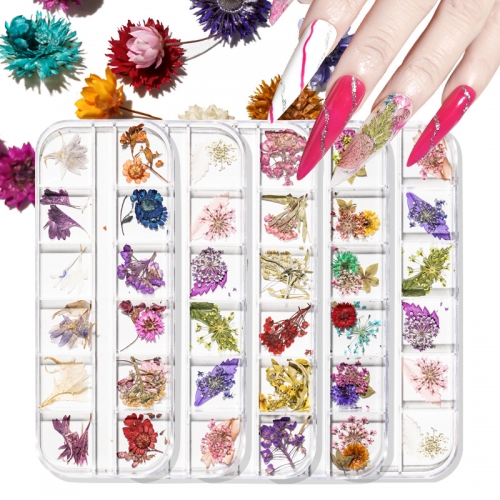 1 Box 3D Natural Dried Flowers Nail Art Decorations Dry Floral Nail Dry Flower