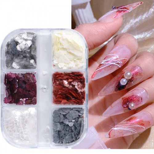6Grids/box Sparkly Natural Mica Shell Slice Nail Flakes 3D Charm Iridescent Sequin Nail Glitter Decor Manicure Paillette