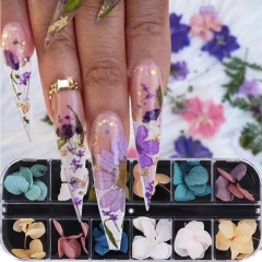 1 Box Nail Dry Flowers Immortal Manicure Ornaments Dried Flowers Nail Art Jewelry Nail Accessories