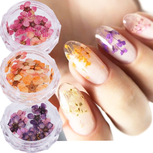 1Jar Dried Flowers Nail Art Decoration Japanese Flower Jewelry Dry flower Decals Nail art Accessories