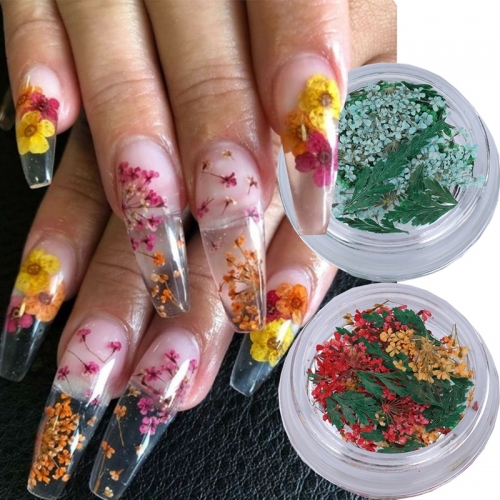 1jar 3D Dried Flowers Nail Art Decorations Dry Floral Bloom Stickers DIY Manicure Charms Designs For Nails Accessories