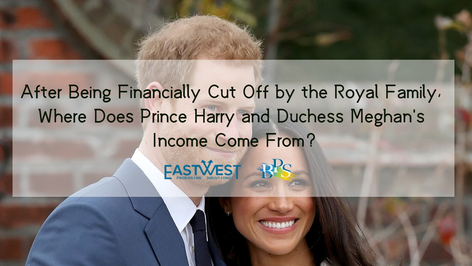 After Being Financially Cut Off by the Royal Family, Where Does Harry and Duchess Meghan's Income Come From?