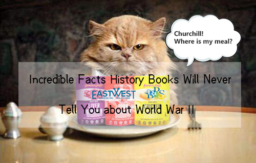 Incredible Facts History Books Will Never Tell You about World War II