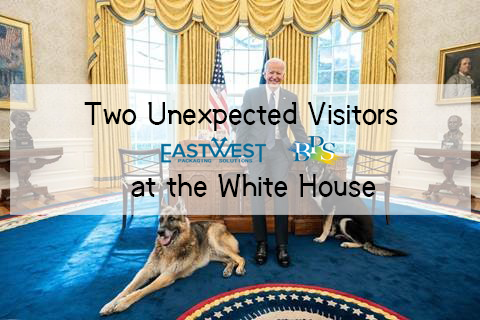 Two Unexpected Visitors at the White House