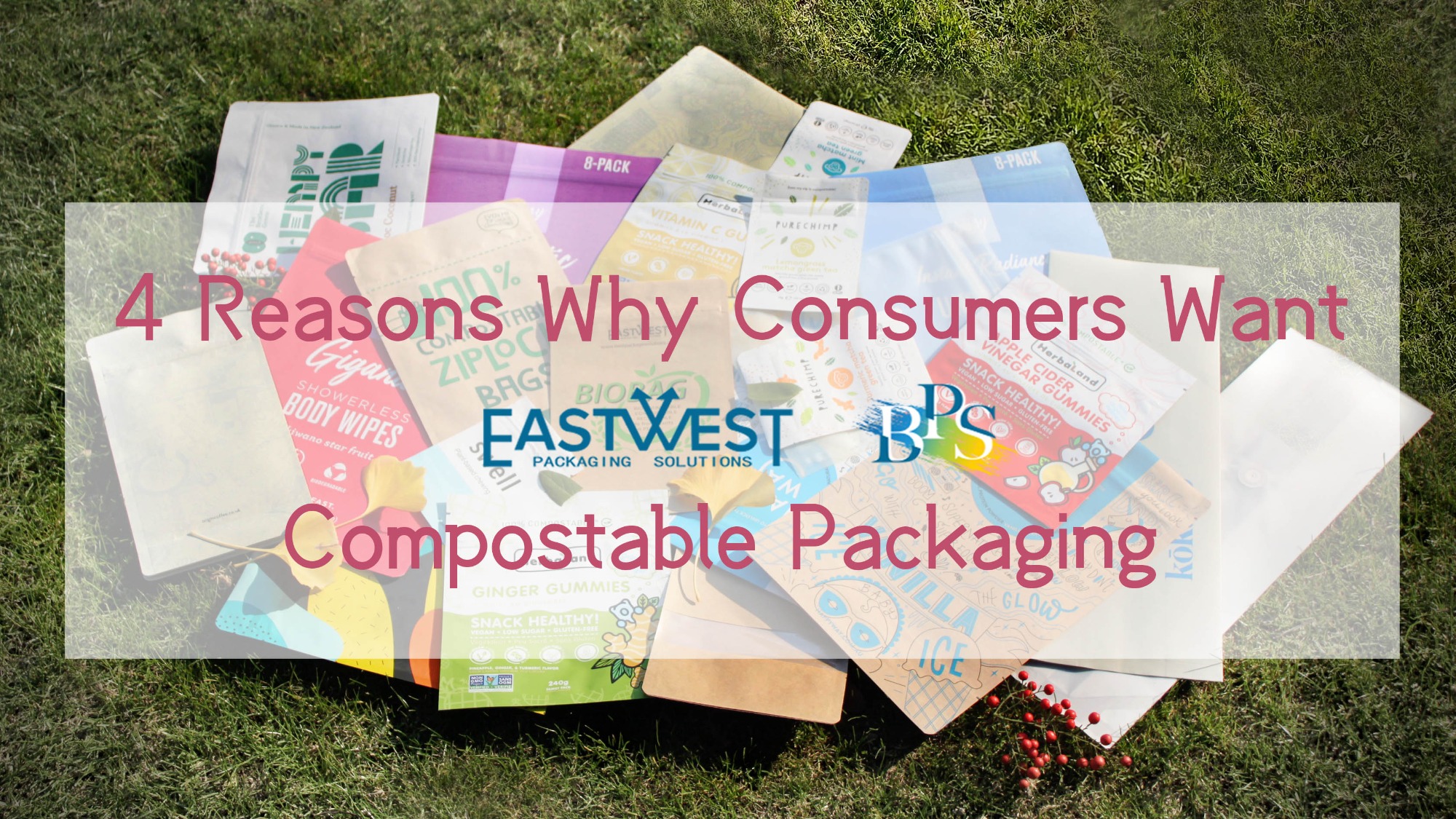 4 Reasons Why Consumers Want Compostable Packaging