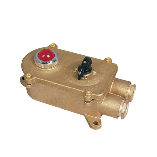 Brass Marine Power Switch Indicator Light 250V/10A | HSD2-2