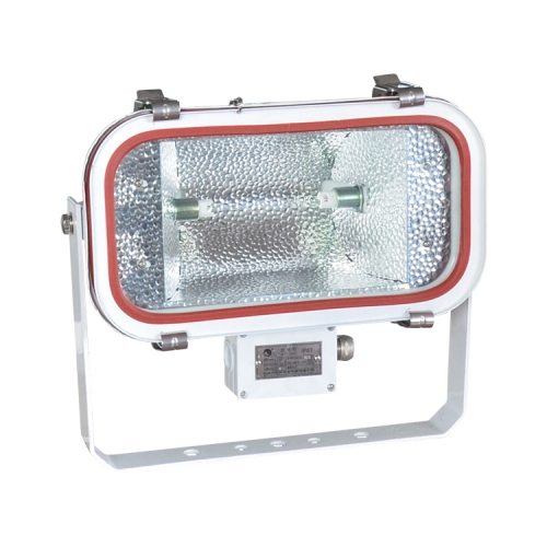 Stainless Steel Marine Flood Light R7s 500W | TG18