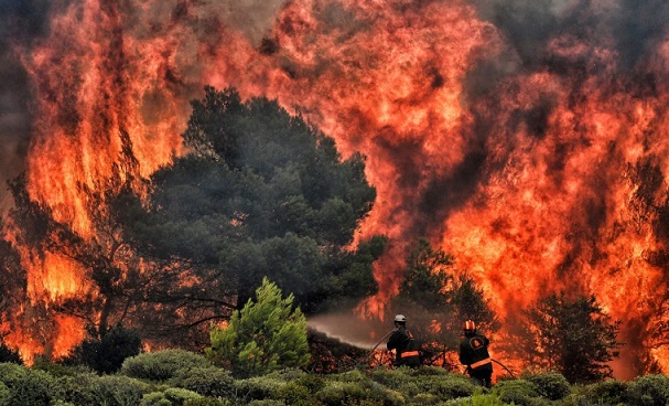 The Forest Fire In Greece