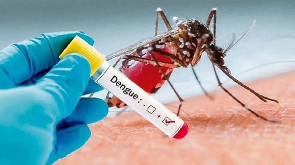 Dengue Fever Outbreak In Bangladesh