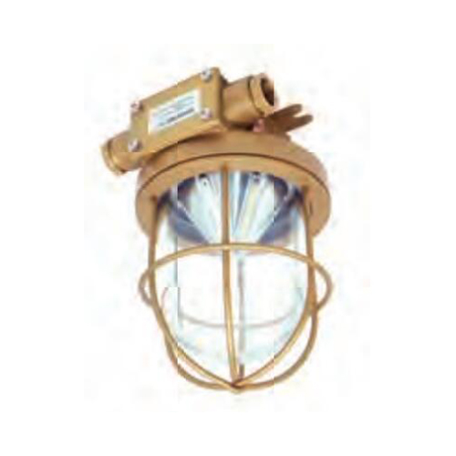 LED Brass Marine Work Light 15V-265V 24W | CCD9-5EXL