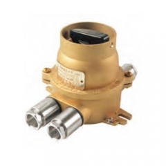 Brass Explosion Proof Switch Exd IIC T6 250V/16A | DCHH202-3