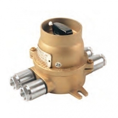 Brass Explosion Proof Switch Exd IIC T6 250V/16A | DCHH202-4