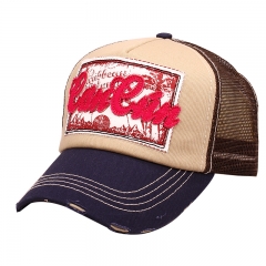 Applique Patch Embroidery Mesh Back Souvenir Trucker Caps