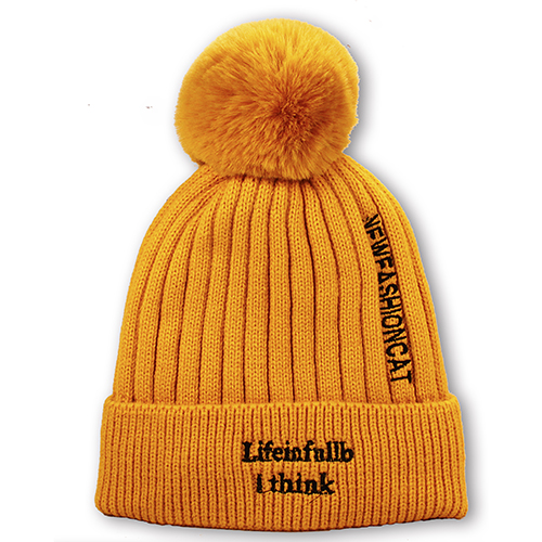Top Quality Winter Knit Hat