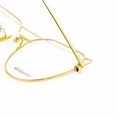 5521- Fashion cat eye design high quality titanium frame for Unisex