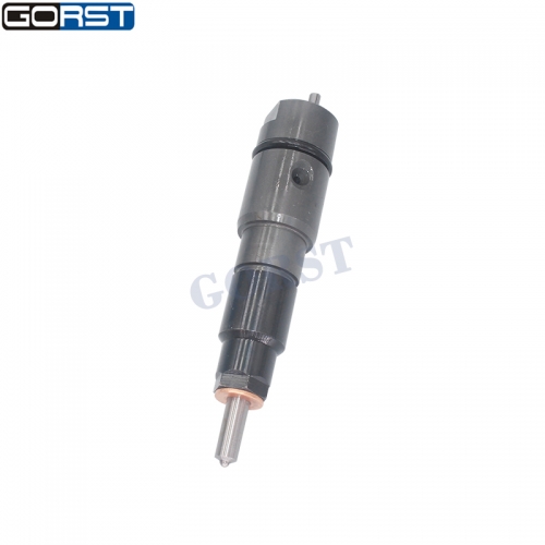 Common Rail Injector A0060176921 For Benz Travego 0060176921 Car Parts