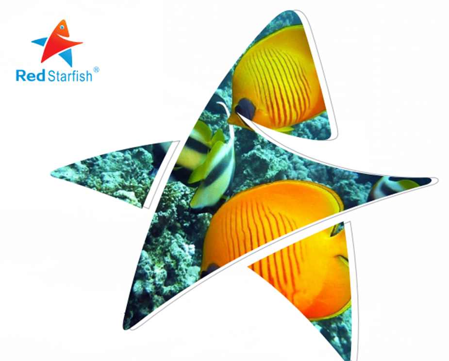 RedStarfish Catalog