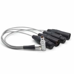 RA-D19 30cm 10 Pin to XLR 3 Pin Female*2 and Male*2 XLR Audio Cable for ATOMOS Shogun Inferno Monitor